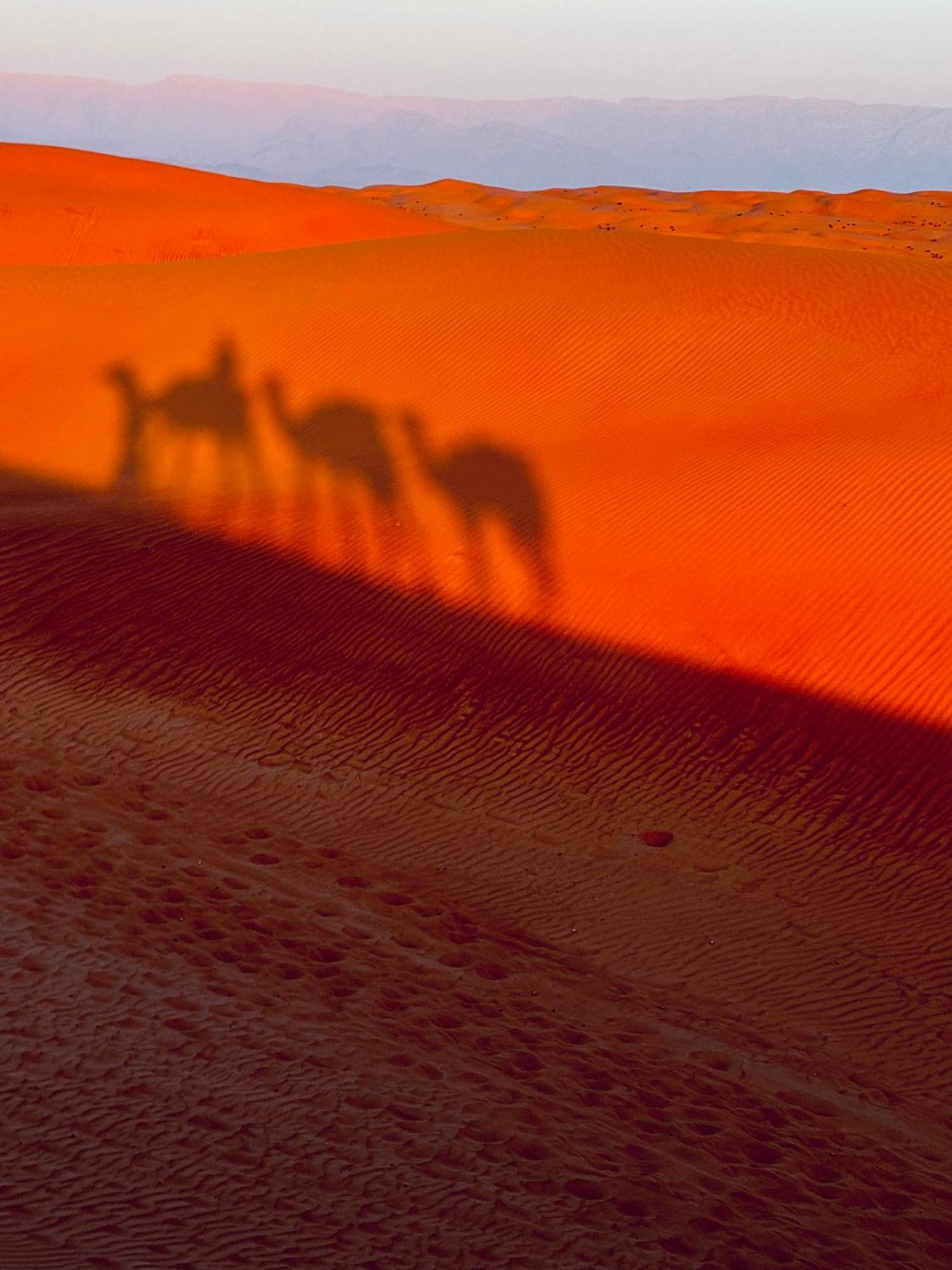 Alsarmadi Desert Camp Shāhiq Exteriör bild